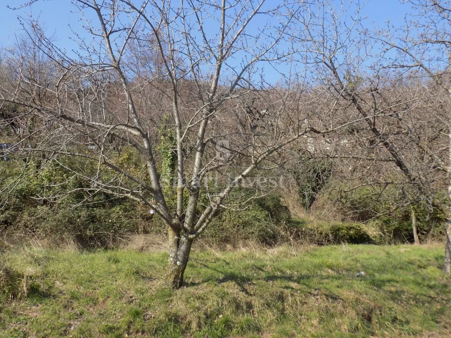lovran, građevinsko zemljište od 1268 m2 s prekrasnim pogledom na more - slika 4