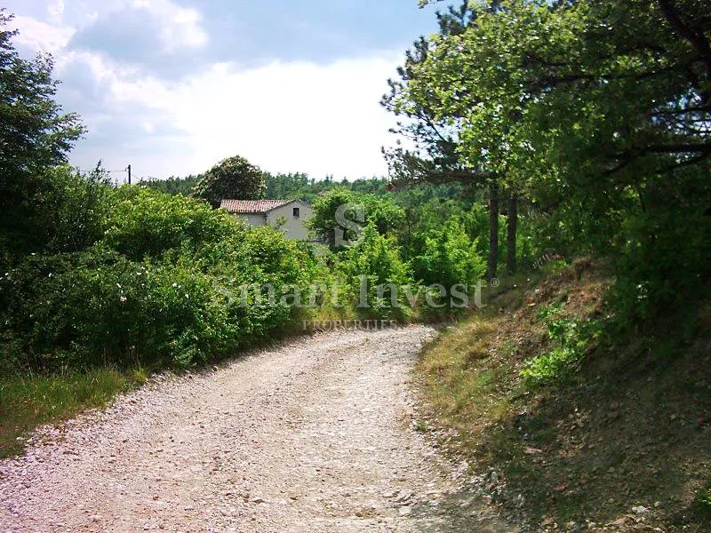 lupoglav, imanje od 83.294 m2 sa 4.500 građevinskog zemljišta - slika 17
