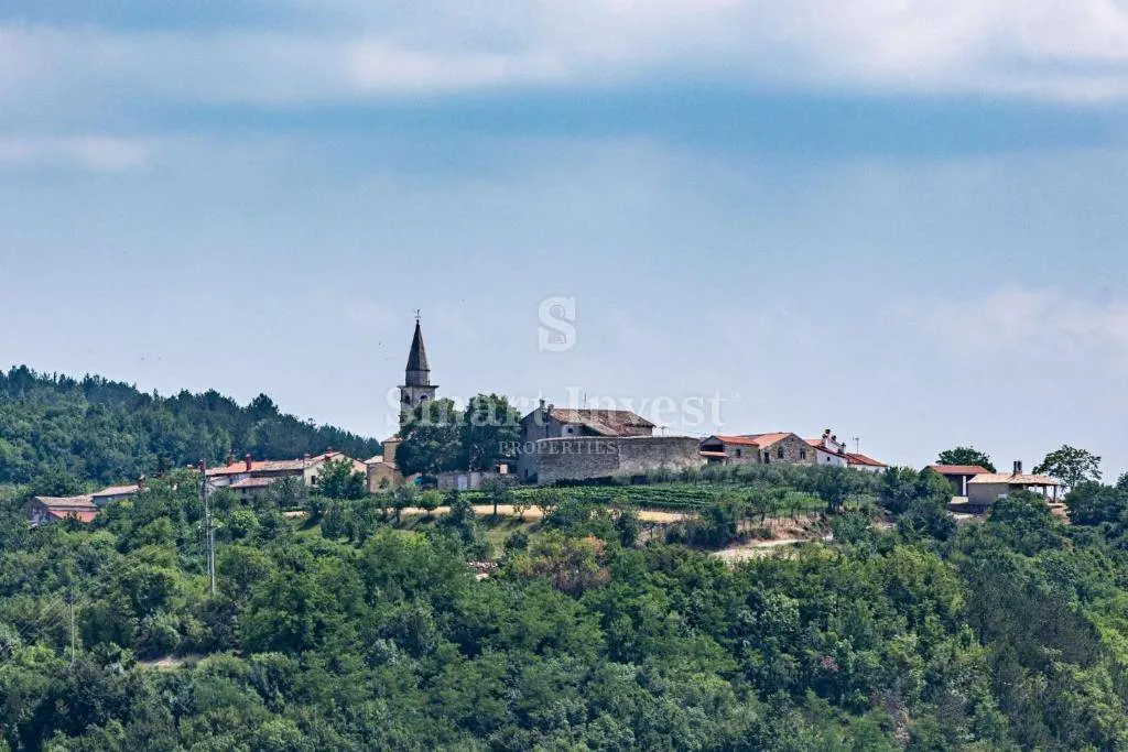 istra, draguć, luksuzno mediteransko imanje na osami, 20.000 m2! - slika 32