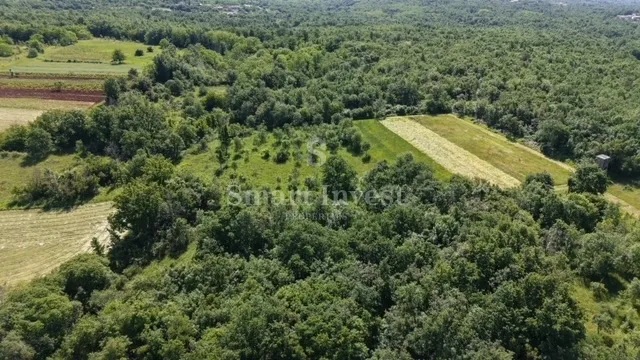 višnjan - žužići, poljoprivredno zemljište od 5694 m2 - slika 2