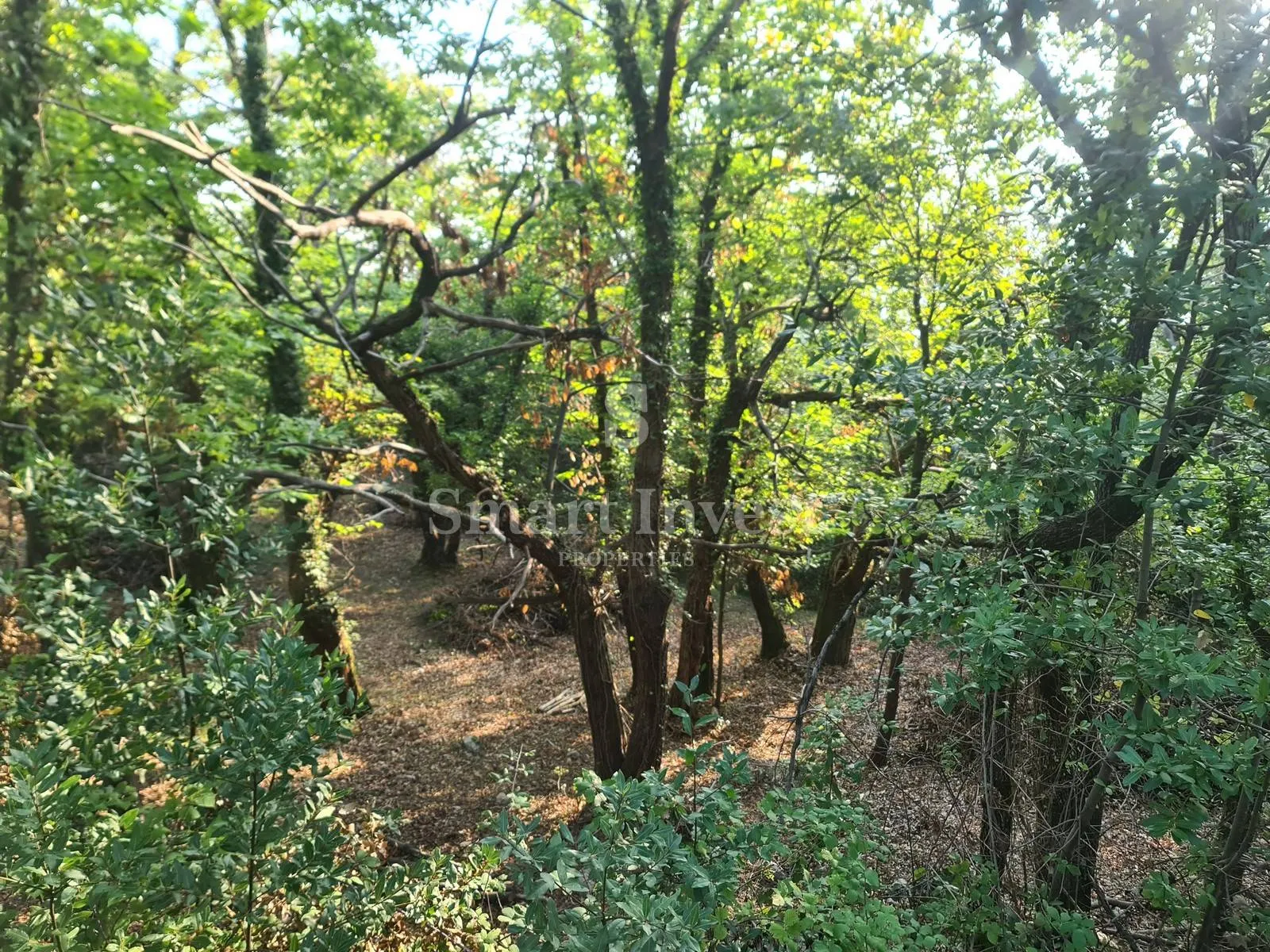 obrš, zemljište s pogledom na more! - slika 4