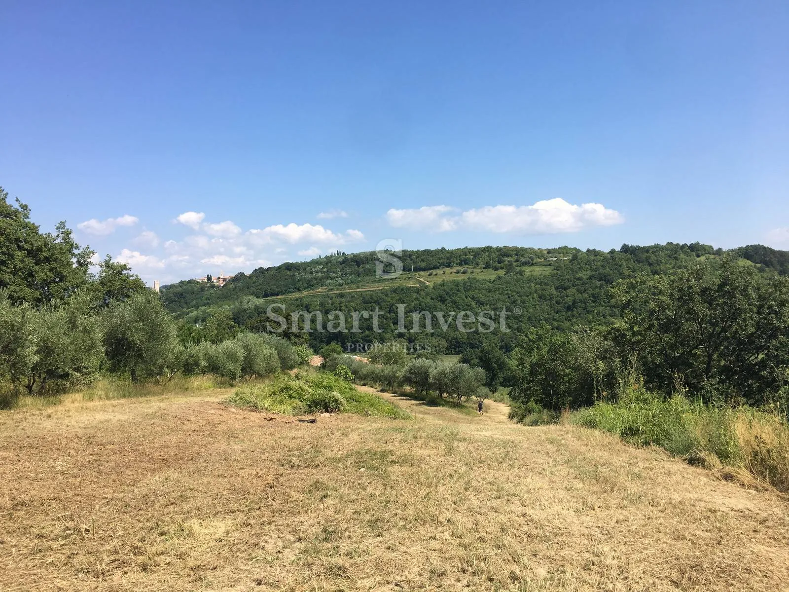 buje - momjan, starina sa zemljištem površine 16.691 m2 - slika 6