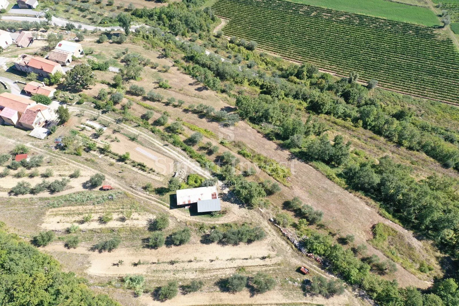 buje - momjan, starina sa zemljištem površine 16.691 m2 - slika 2