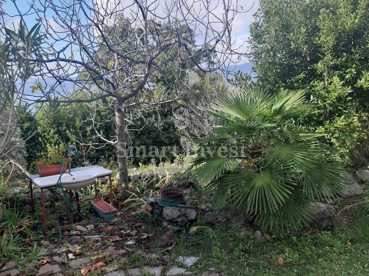 bivio, građevinsko zemljište od 1656 m2, sa prekrasnim pogledom na more - slika 4