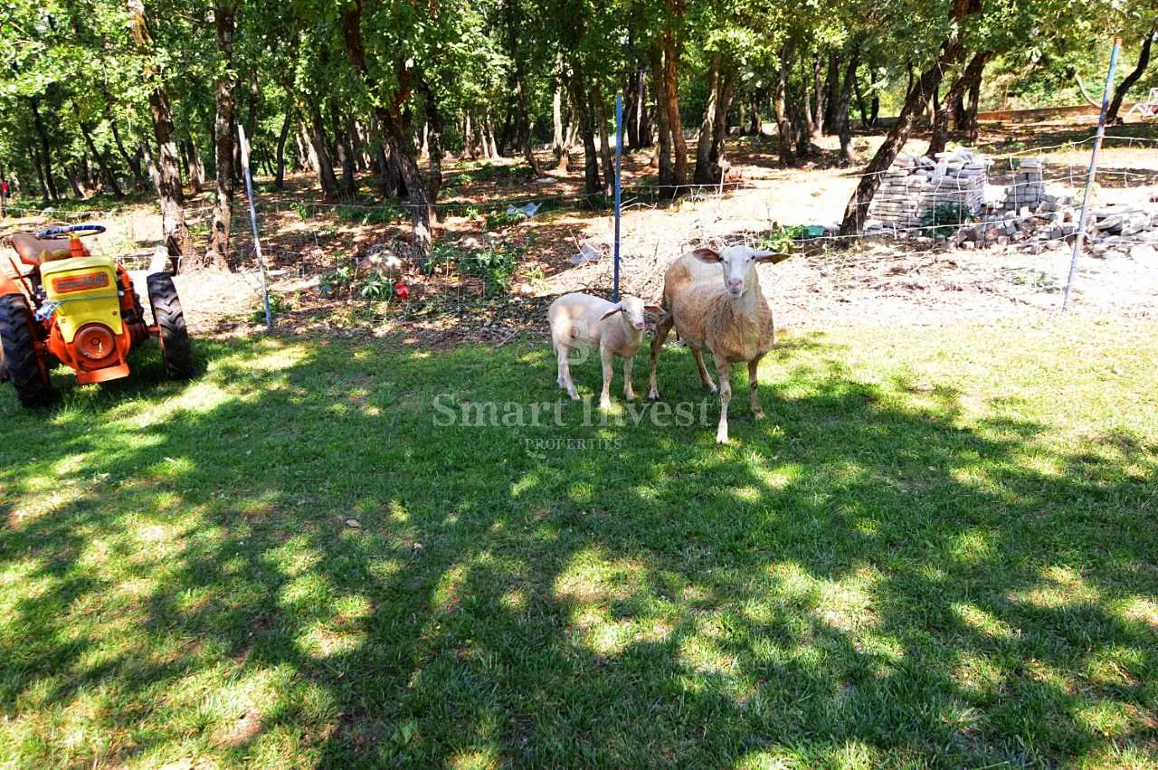 umag, eco resort, hotel i restoran na zemljištu od 7000 m2 - slika 14