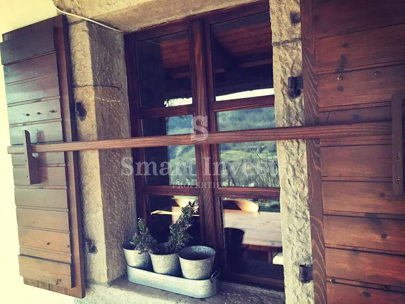 motovun, ekološko imanje s izvorom vode, bazenom, maslinikom i voćnjakom - slika 26