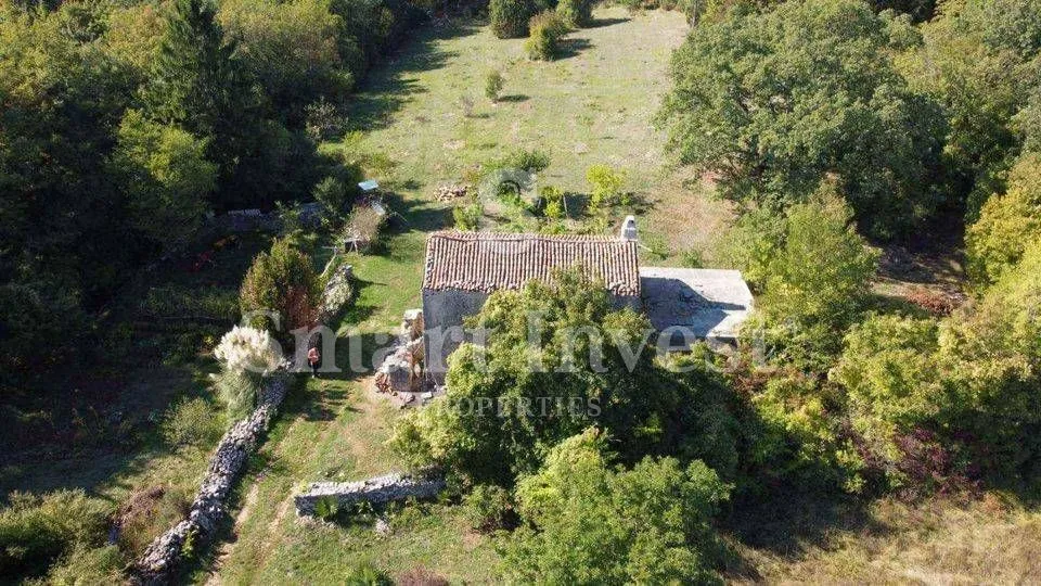 rabac - istra, imanje 27800 m2 s kamenom kućom samo 4 km od mora! - slika 7
