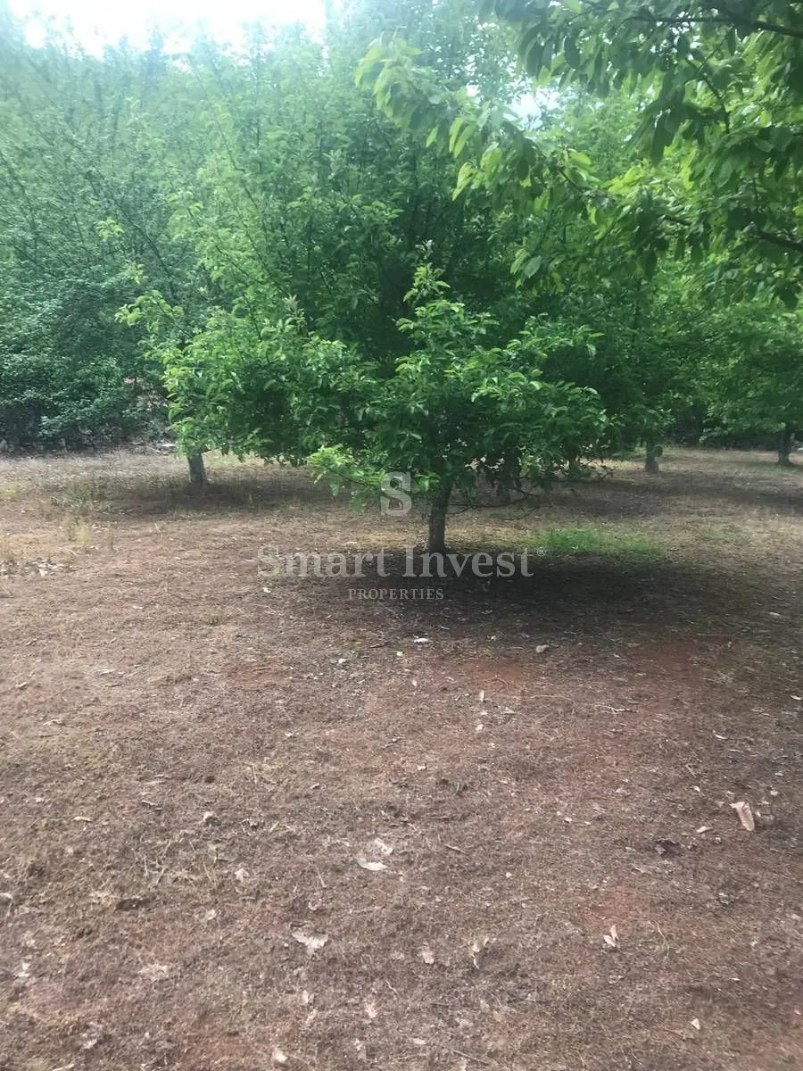 OPATIJA - DOBREĆ, zemljište od 2.109 m2 - Dobreć, Opatija