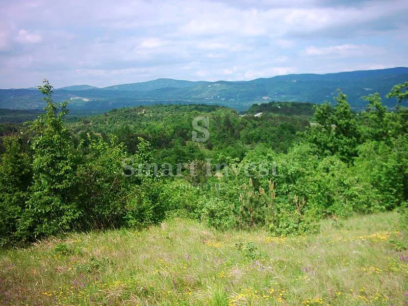 lupoglav, imanje od 83.294 m2 sa 4.500 građevinskog zemljišta - slika 13