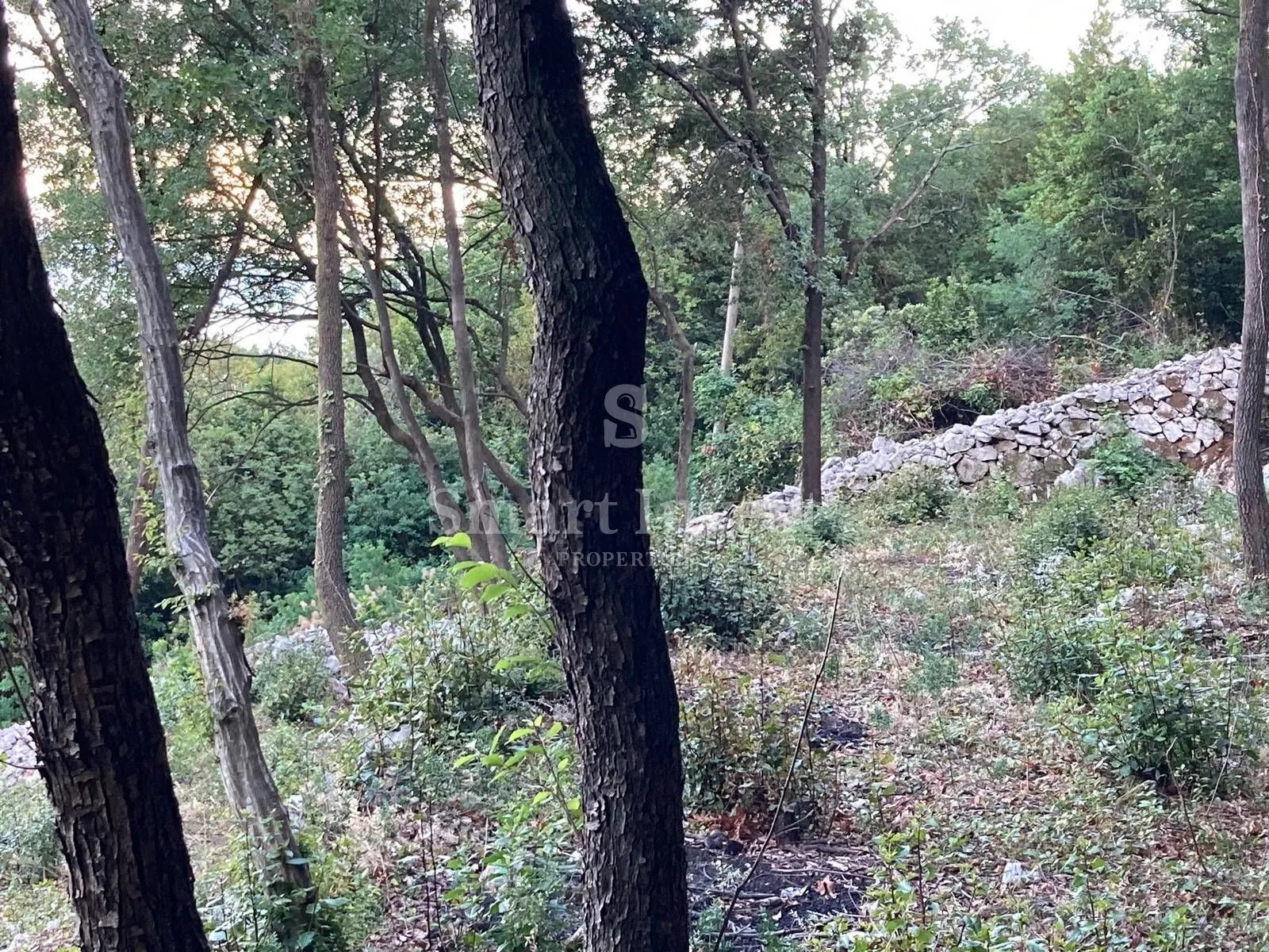 mošćenička draga, građevinsko zemljište od 1768 m2 - slika 12