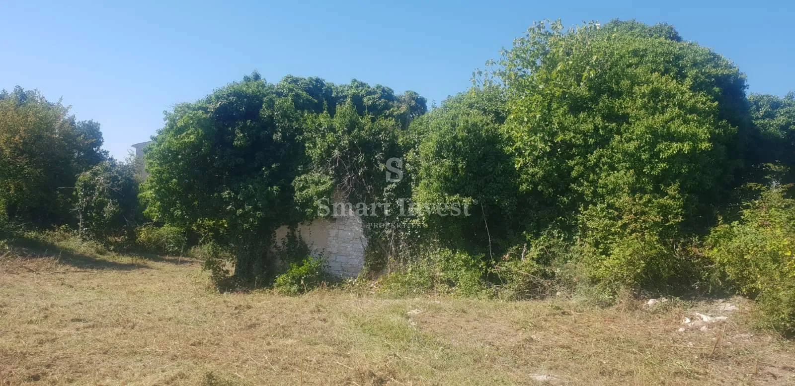 savudrija, građevinsko zemljište s pogledom na more blizu golfa i resorta - slika 6
