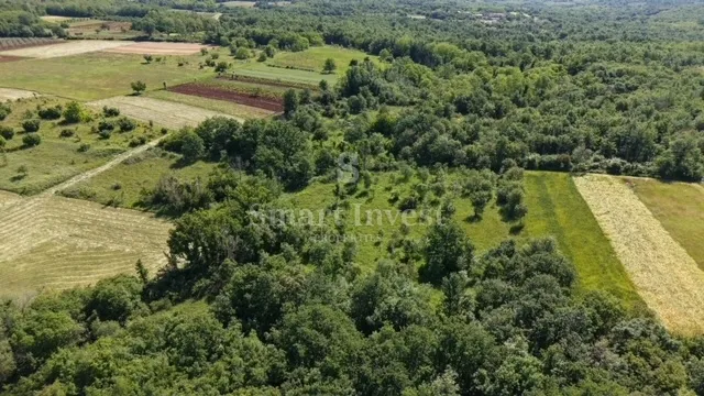 VIŠNJAN - ŽUŽIĆI, poljoprivredno zemljište od 5694 m2 - Žužići, Višnjan