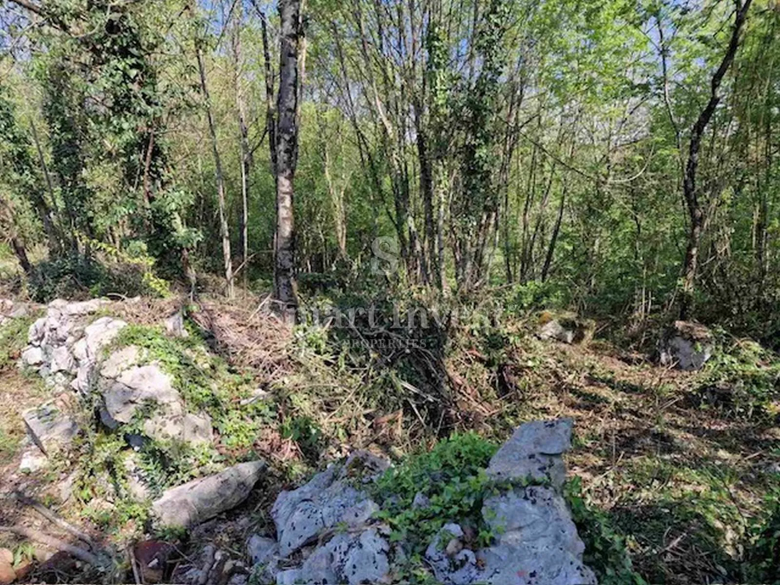veli brgud, zemljište od 1583 m2 - slika 4