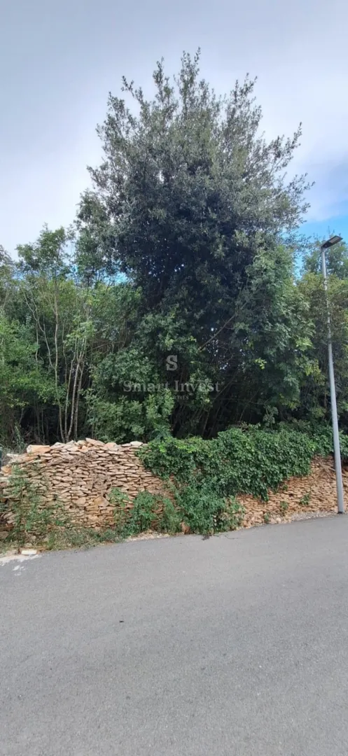 medulin, zemljište od 2900 m2 za višestambenu izgradnju - slika 2