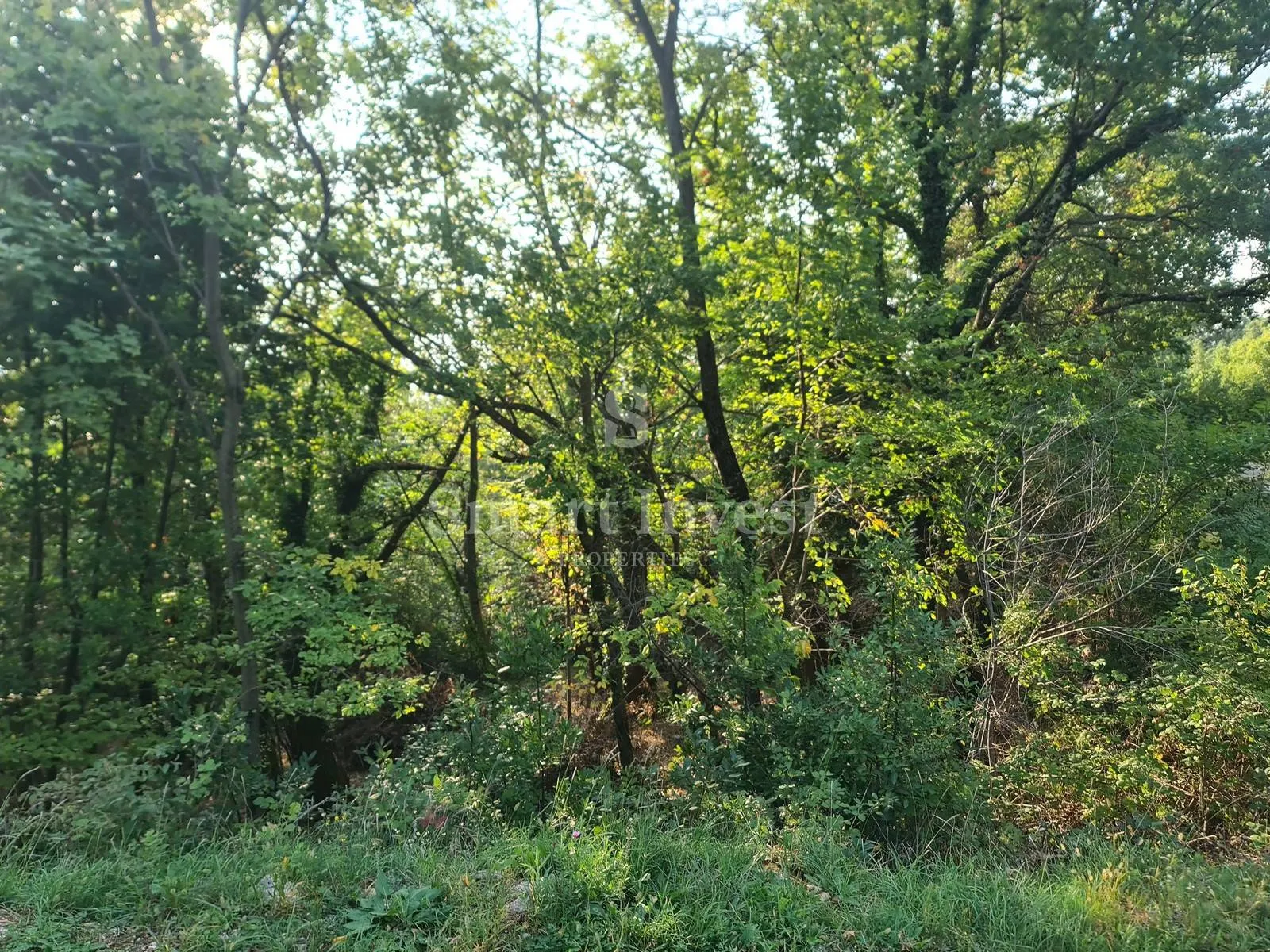 obrš, zemljište s pogledom na more! - slika 7