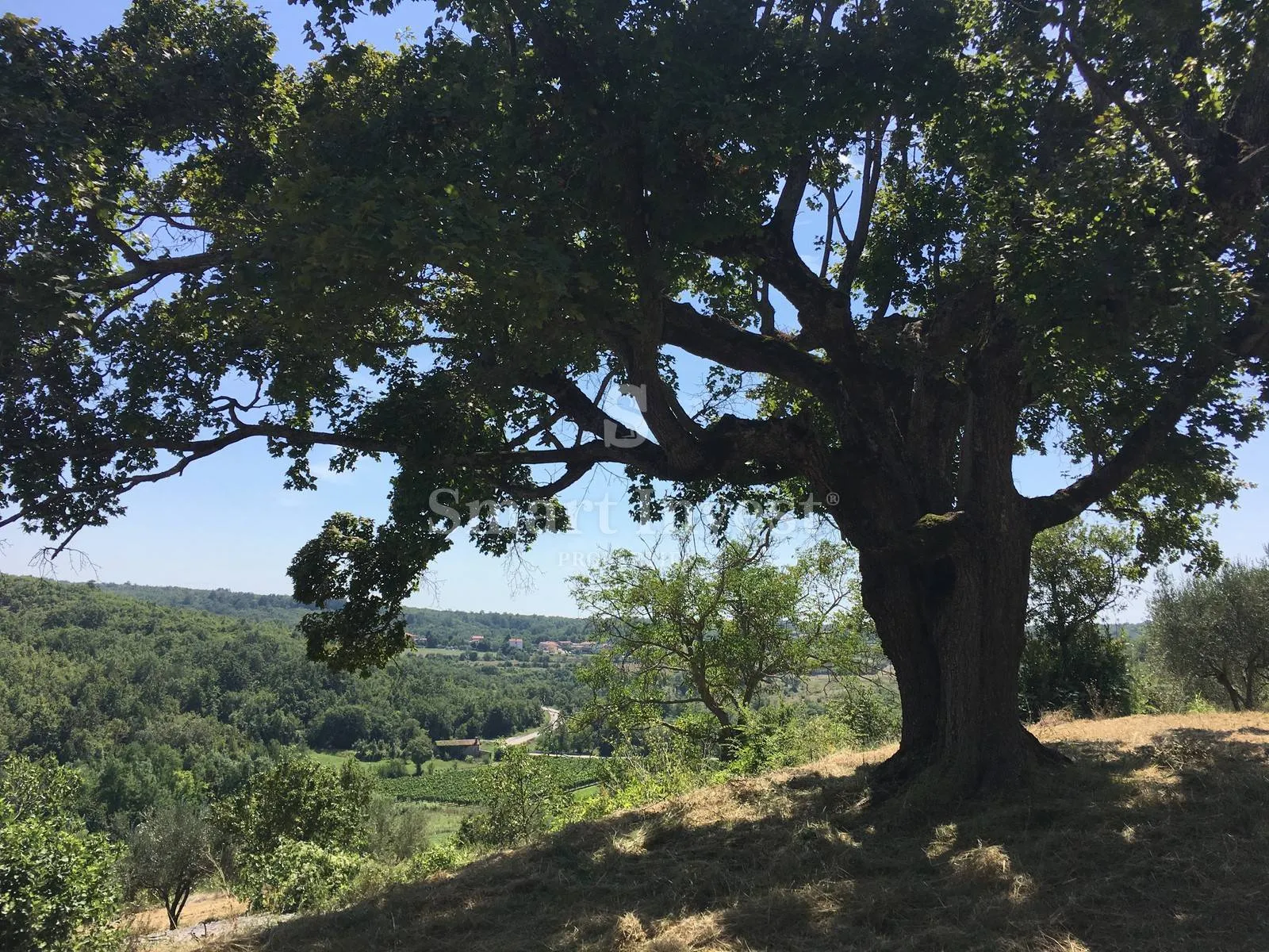 buje - momjan, starina sa zemljištem površine 16.691 m2 - slika 7