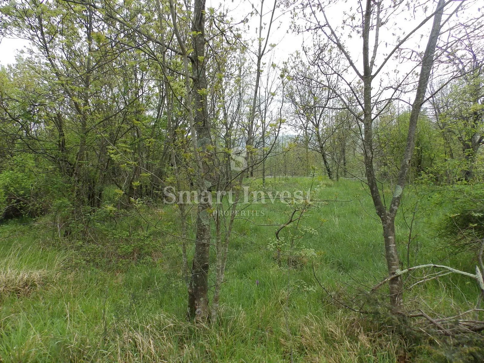 viškovo - kosi, građevinski teren od 5144 m2 - slika 2