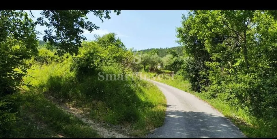 prilika! istra - sovinjak, novorenovirana kuća u prirodi! - slika 31