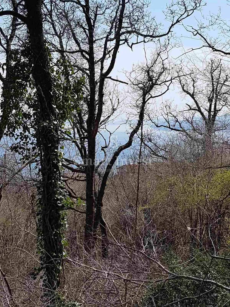 veprinac, građevinski teren od 1945 m2 - slika 2