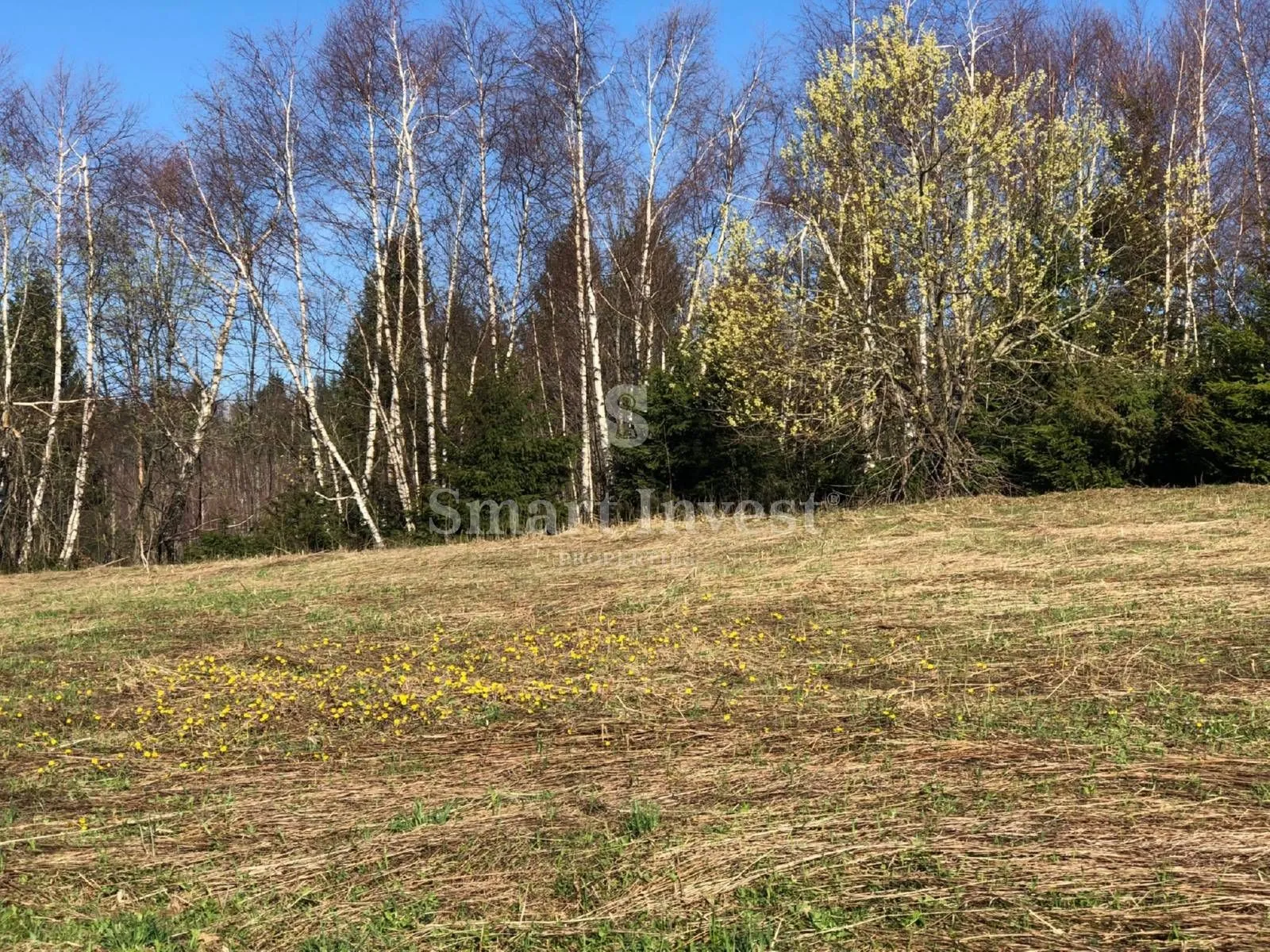 ravna gora, građevinsko zemljište u blizini centra - slika 4