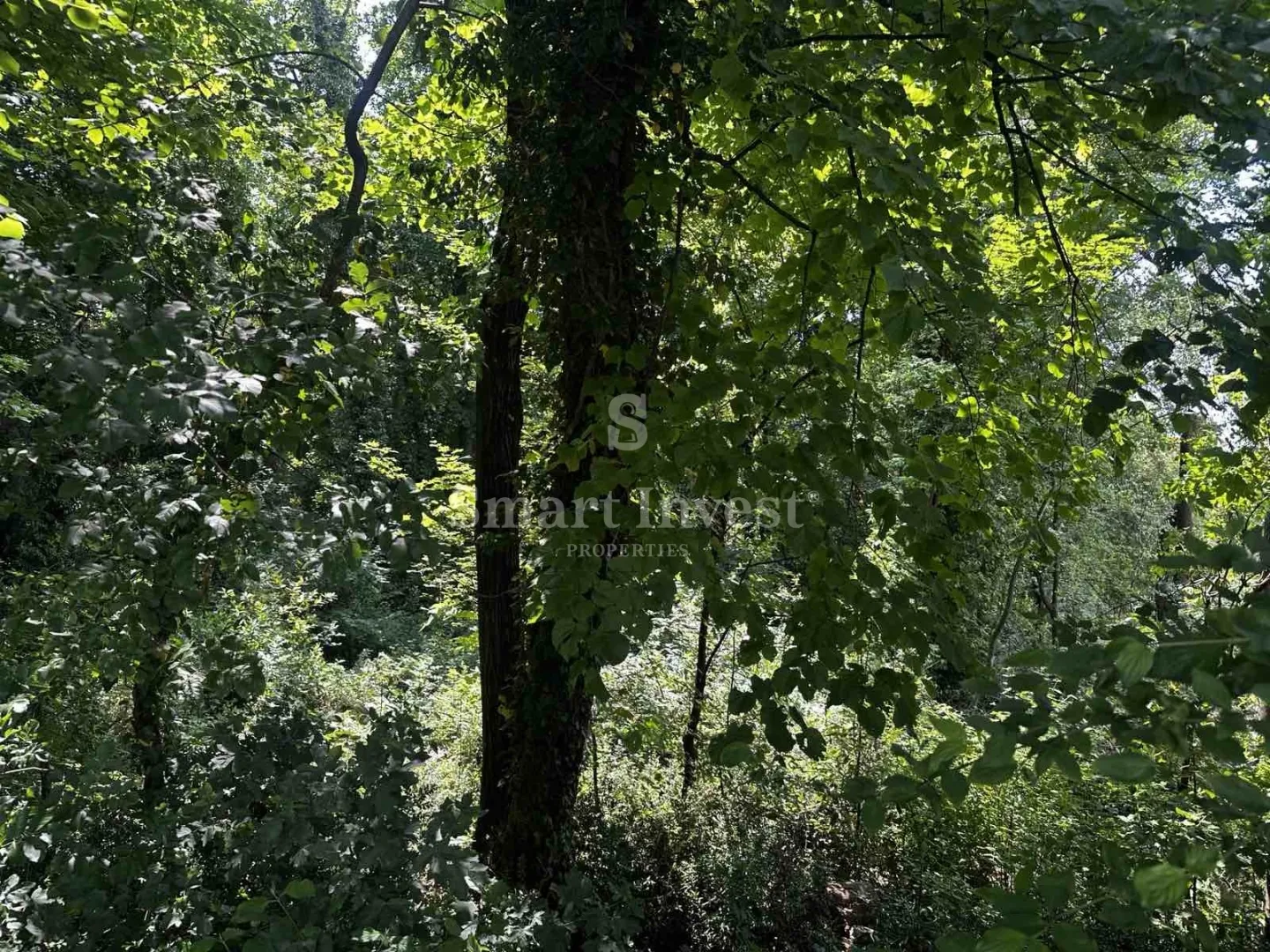 MATULJI, 2 zemljišta za poslovno-stambenu gradnju