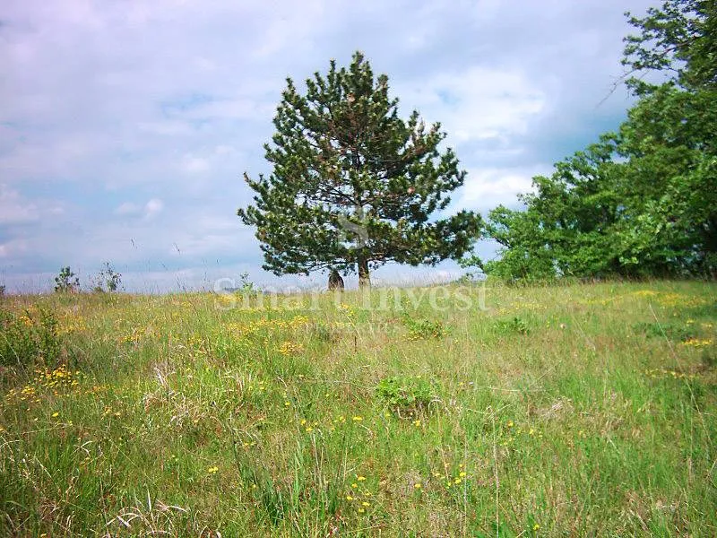 lupoglav, imanje od 83.294 m2 sa 4.500 građevinskog zemljišta - slika 11