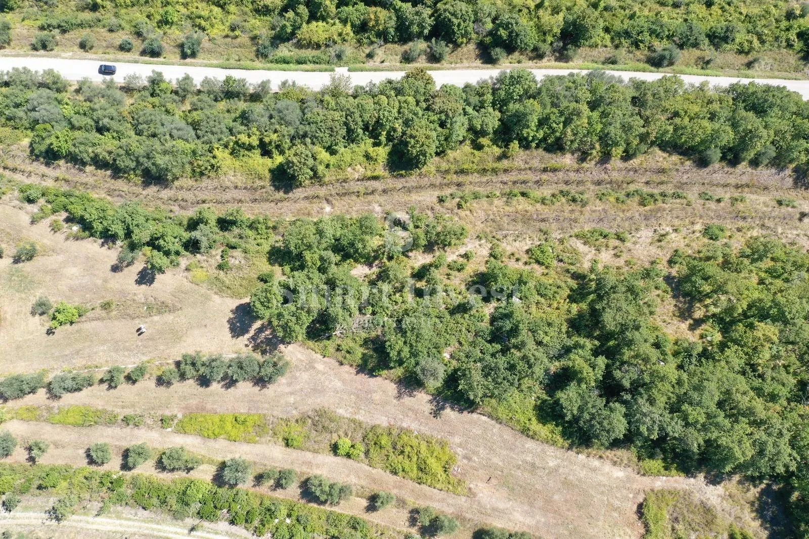 buje - momjan, starina sa zemljištem površine 16.691 m2 - slika 5