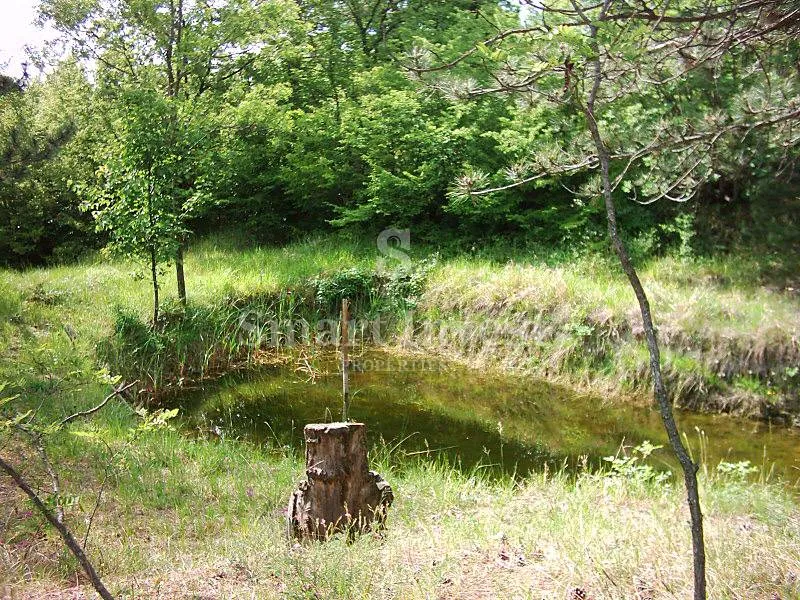 lupoglav, imanje od 83.294 m2 sa 4.500 građevinskog zemljišta - slika 16