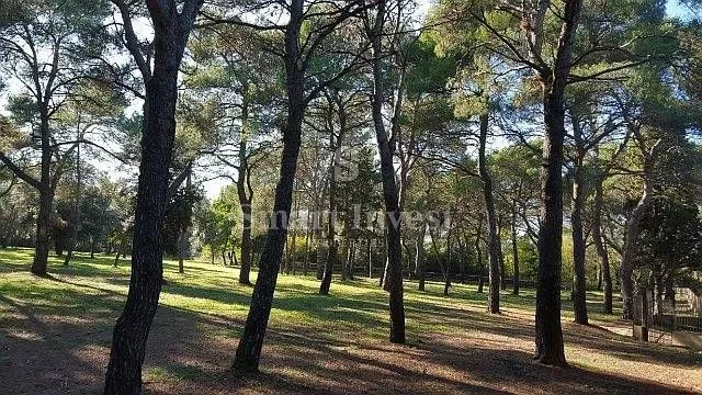 rovinj, zemljište u turističkoj zoni (t1, t2, t3) - slika 9