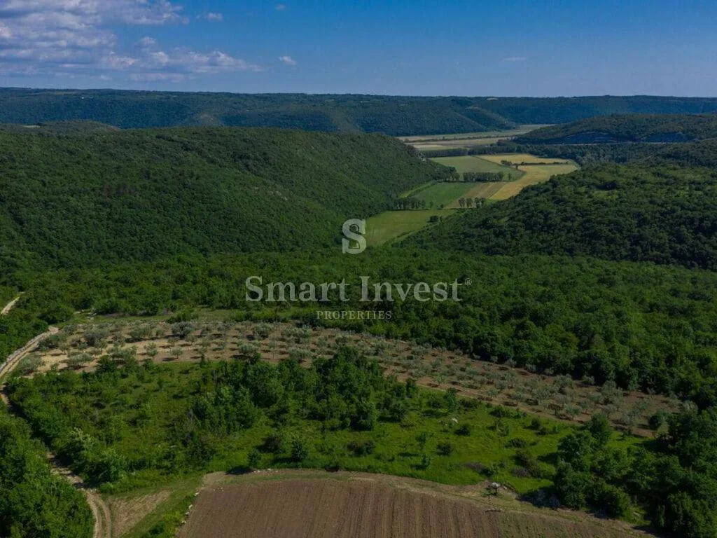 buje, kamena villa s bazenom i pogledom na more - slika 40