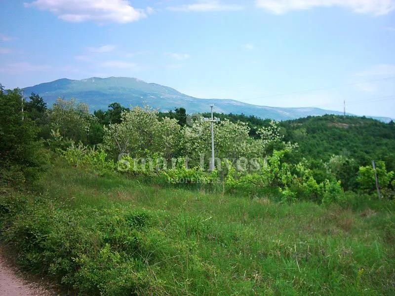 lupoglav, imanje od 83.294 m2 sa 4.500 građevinskog zemljišta - slika 2