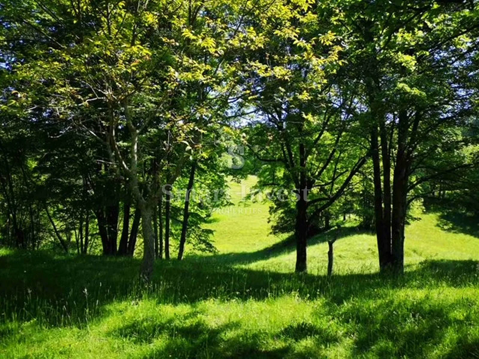 garići - viškovo, poljoprivredno zemljište od 6039 m2 - slika 9