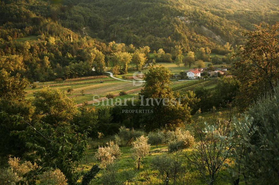 motovun, ekološko imanje s izvorom vode, bazenom, maslinikom i voćnjakom - slika 48