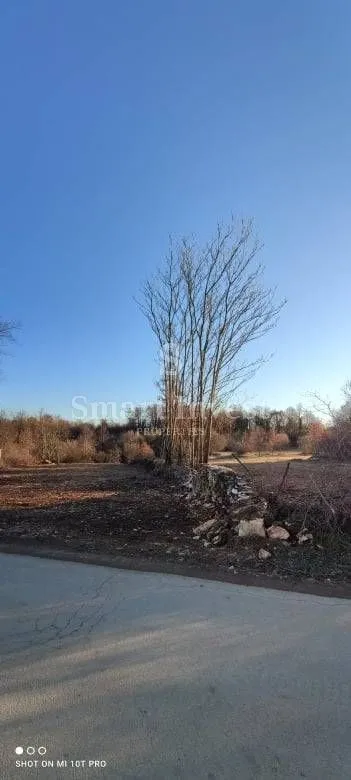 istra, blizina poreča, atraktivno građ. zemljište 7235 m2 za investitore! - slika 2