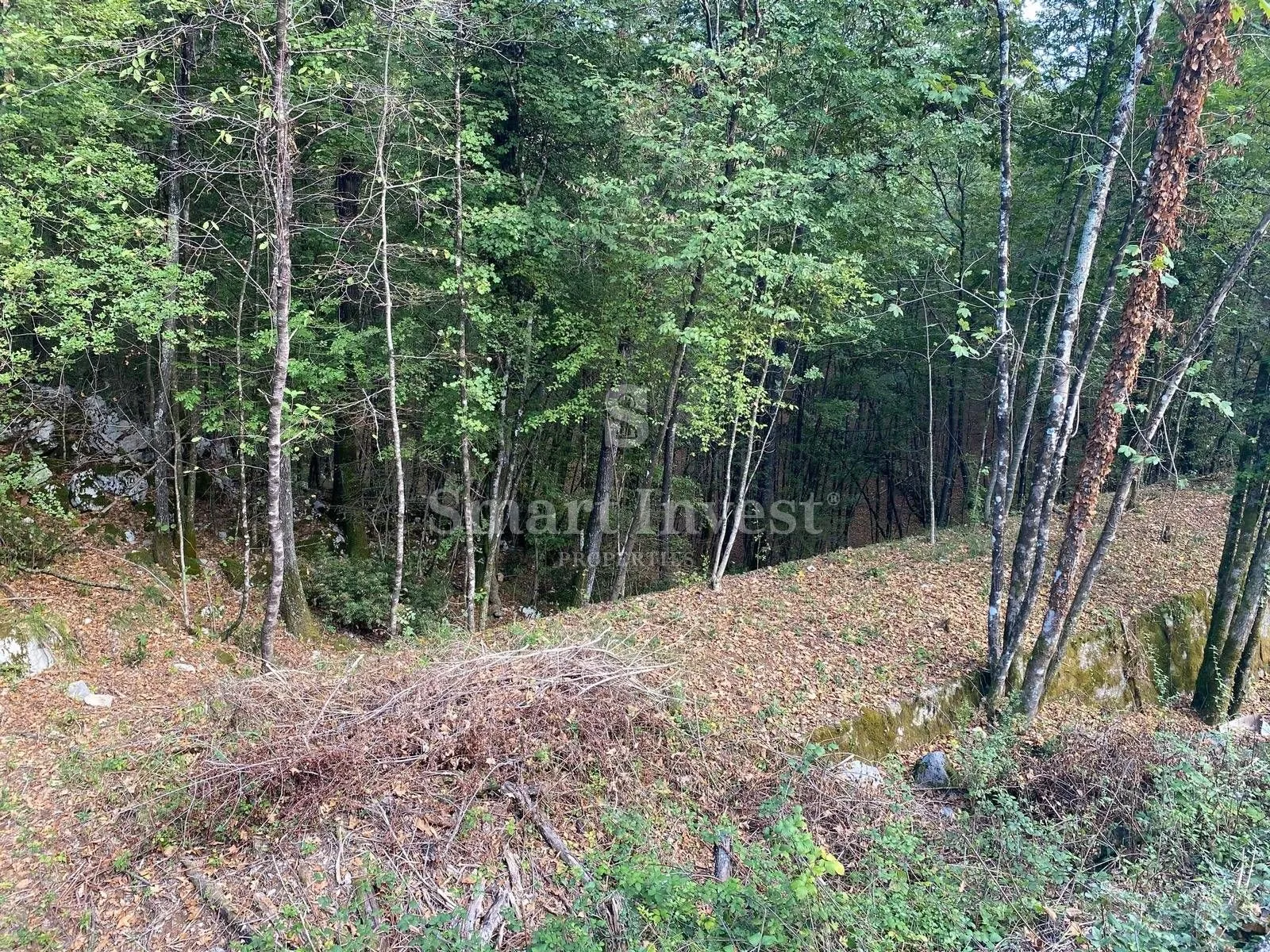 permani - matulji, zemljište za stambenu-poslovnu gradnju od 9645 m2 - slika 2