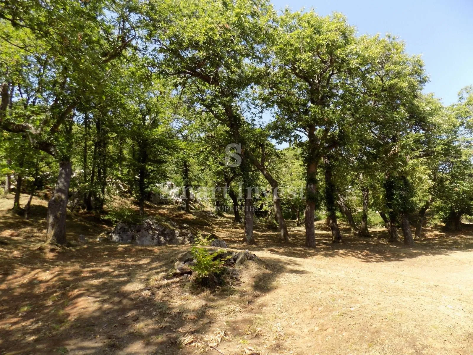 lovran, građevinsko zemljište od 2.700 m2 s pogledom na more - slika 5