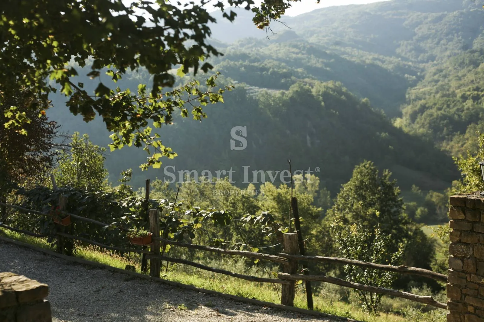 motovun, ekološko imanje s izvorom vode, bazenom, maslinikom i voćnjakom - slika 47
