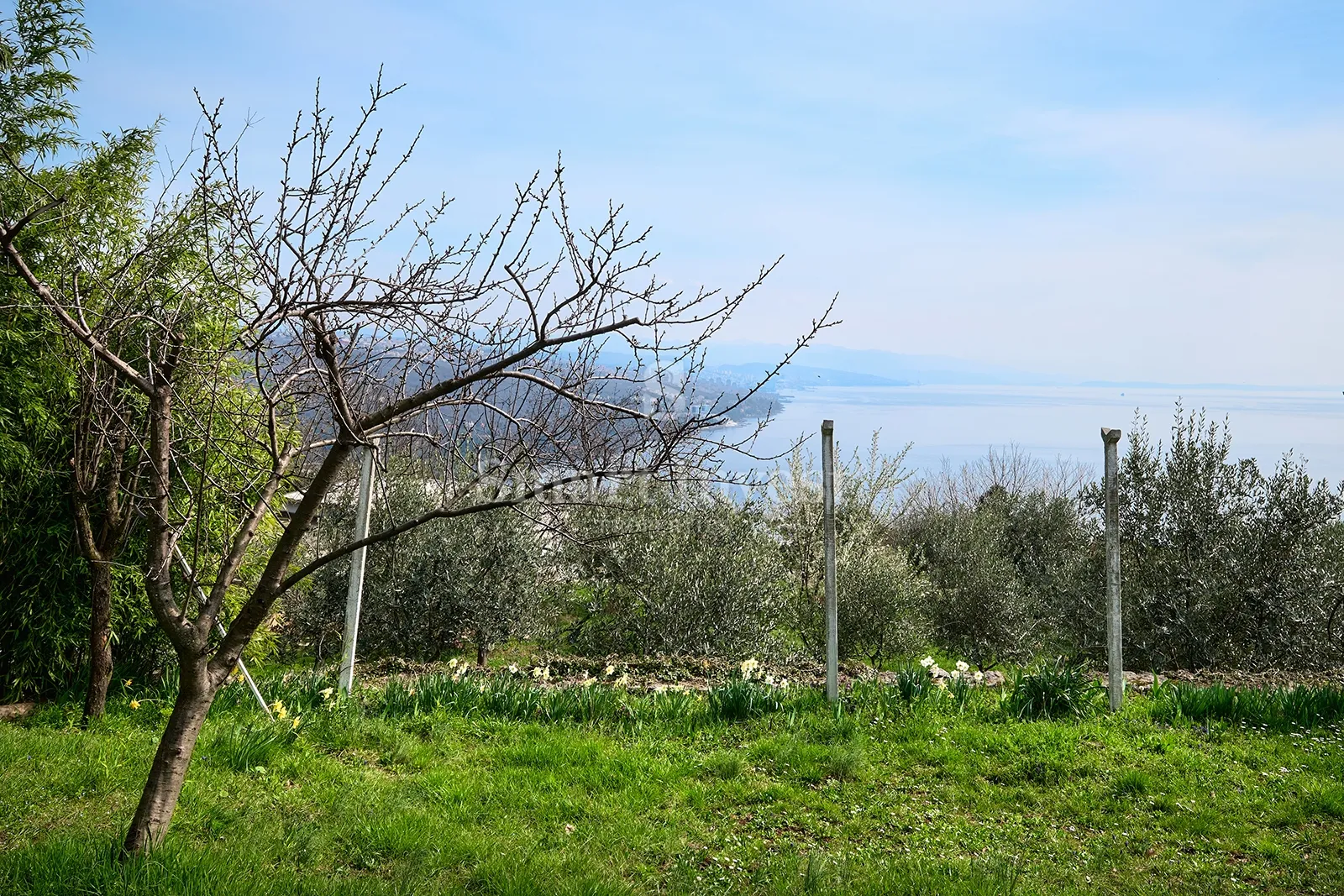 pobri, kuća s velikom okućnicom - slika 35