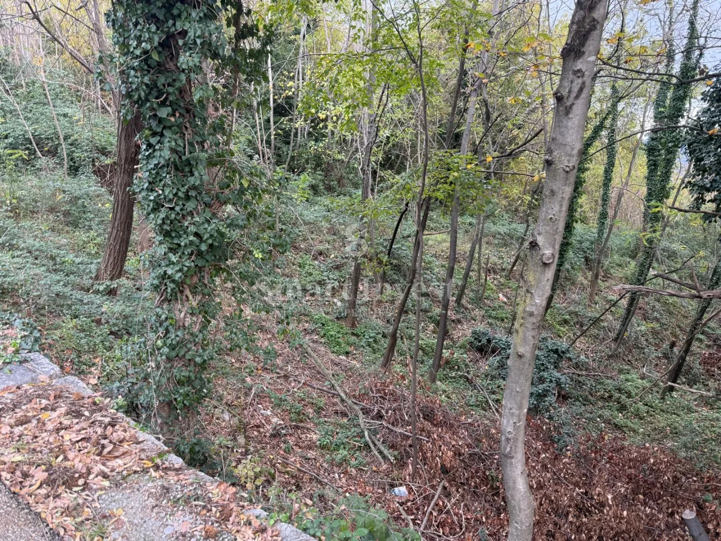 ika - oprić, kuća s pogledom na more i prostranom okućnicom - slika 13