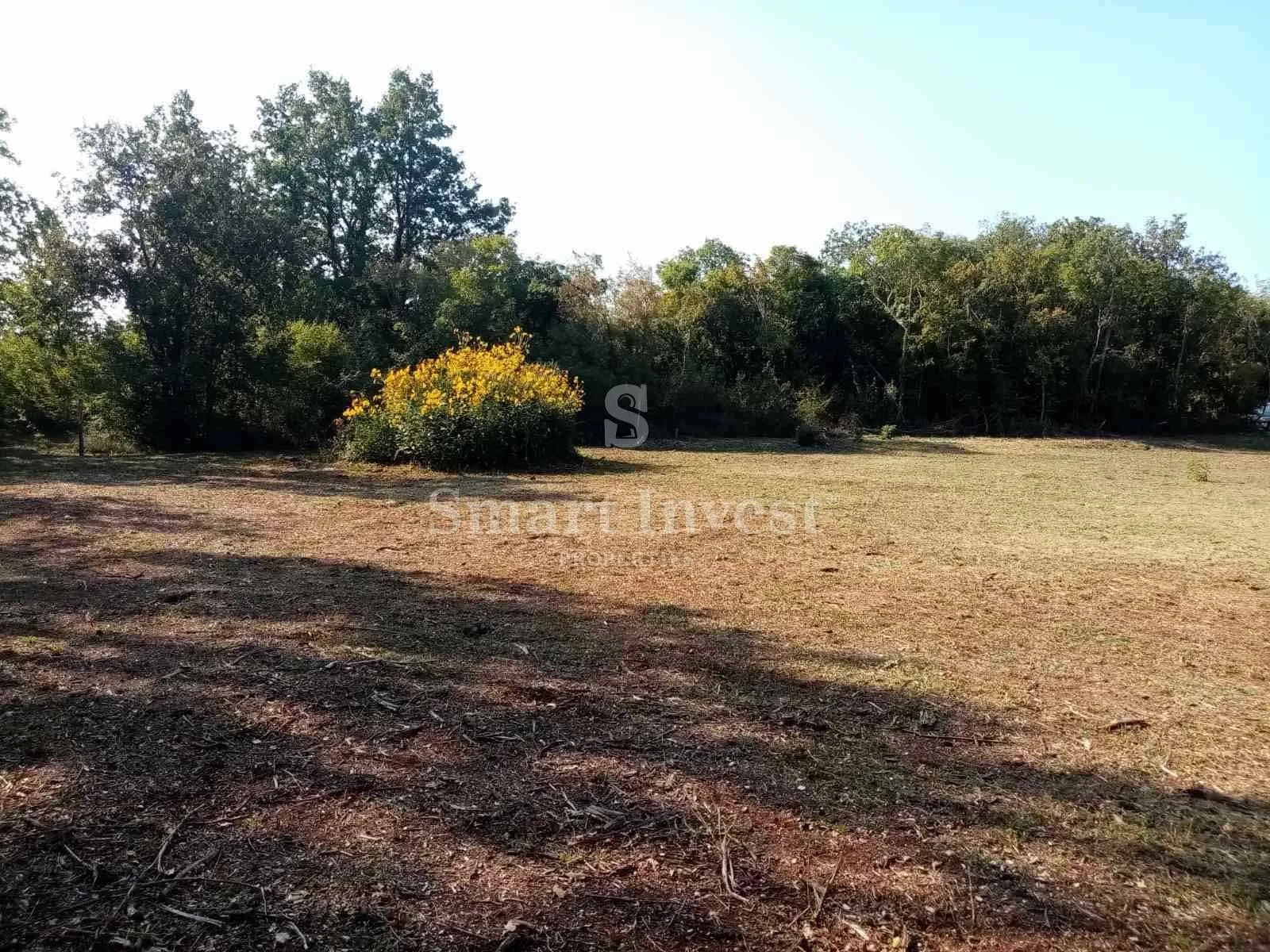 istra - funtana, zemljište od 2663 m2 na rubu urbanizacije! - slika 4