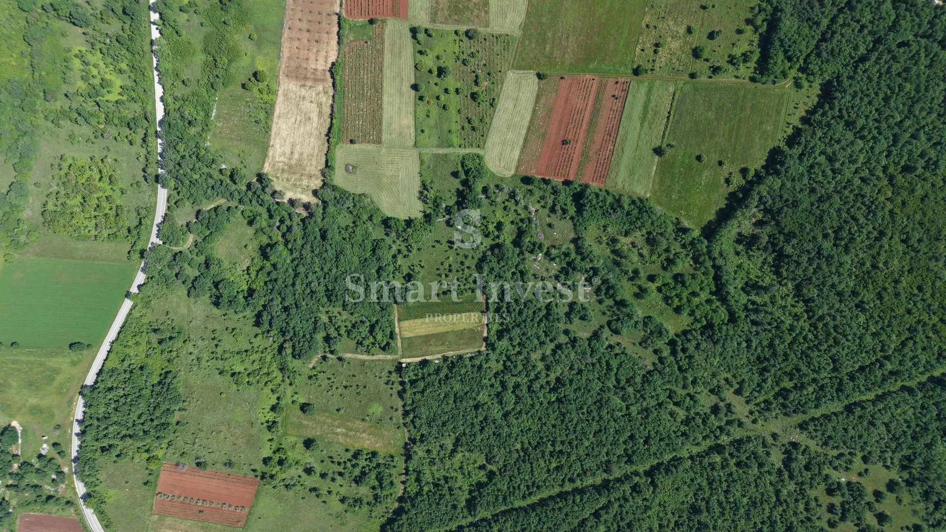 višnjan - žužići, poljoprivredno zemljište od 5694 m2 - slika 5