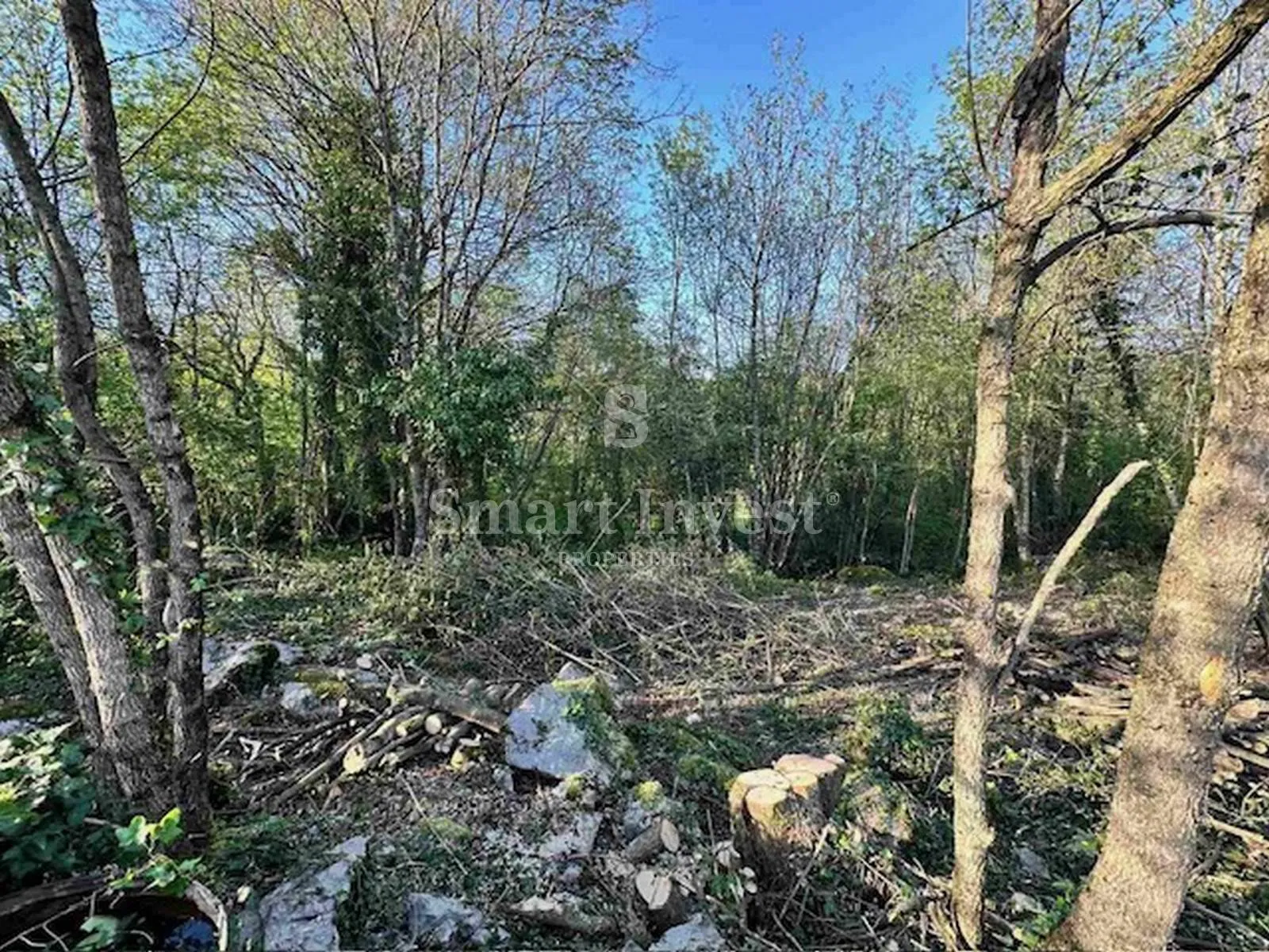 veli brgud, zemljište od 1583 m2 - slika 2