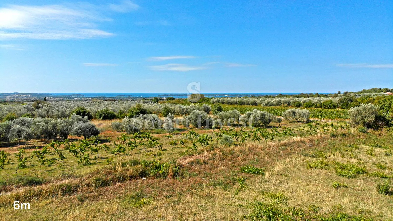vodnjan, luksuzna vila 4s+db s pogledom na more i brijune (v3) - slika 6