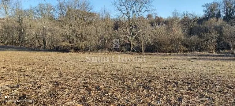 istra, blizina poreča, atraktivno građ. zemljište 7235 m2 za investitore! - slika 7