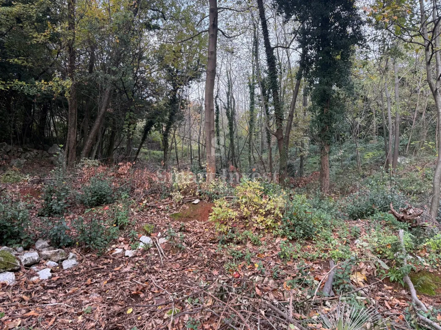 ika - oprić, kuća s pogledom na more i prostranom okućnicom - slika 12