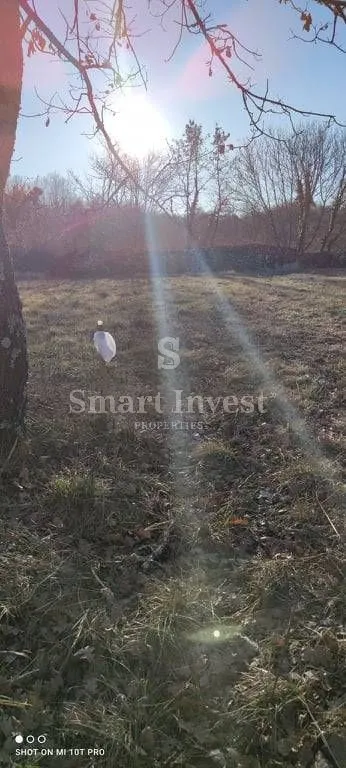 istra, blizina poreča, atraktivno građ. zemljište 7235 m2 za investitore! - slika 5