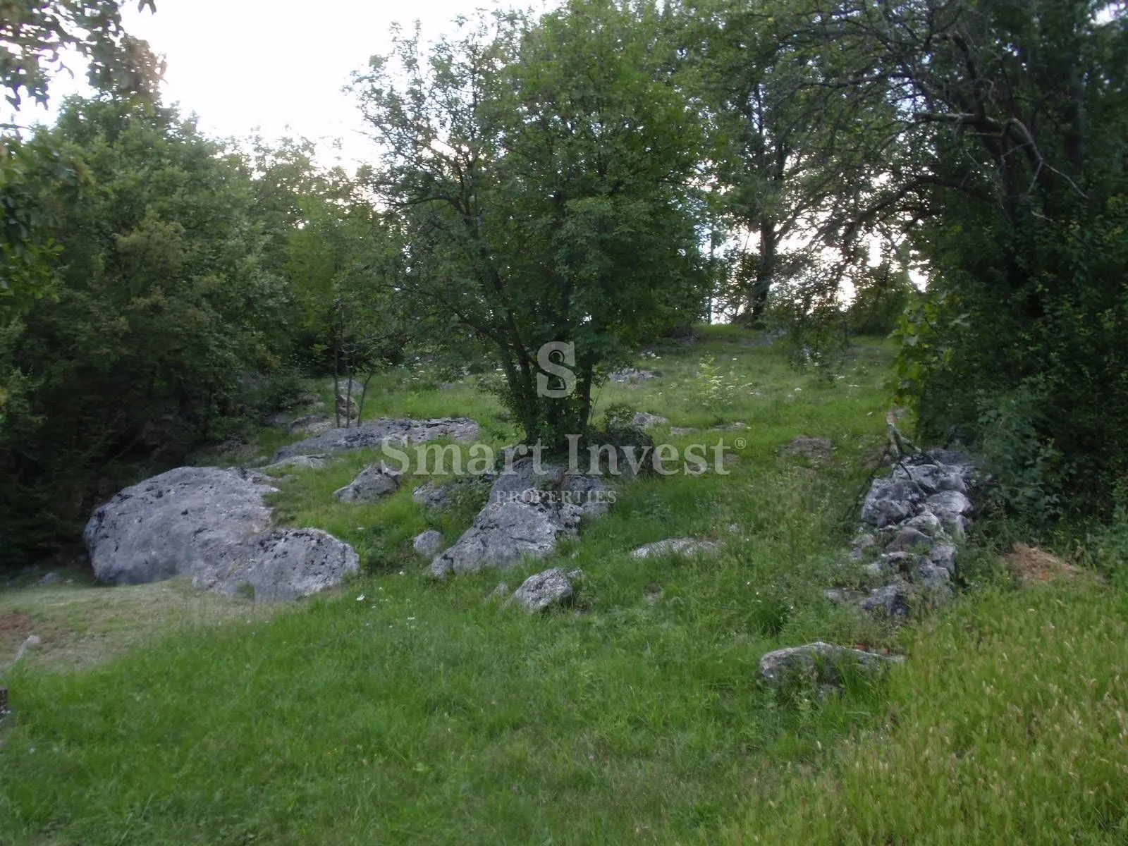 MATULJI, zemljište od 7.117 m2