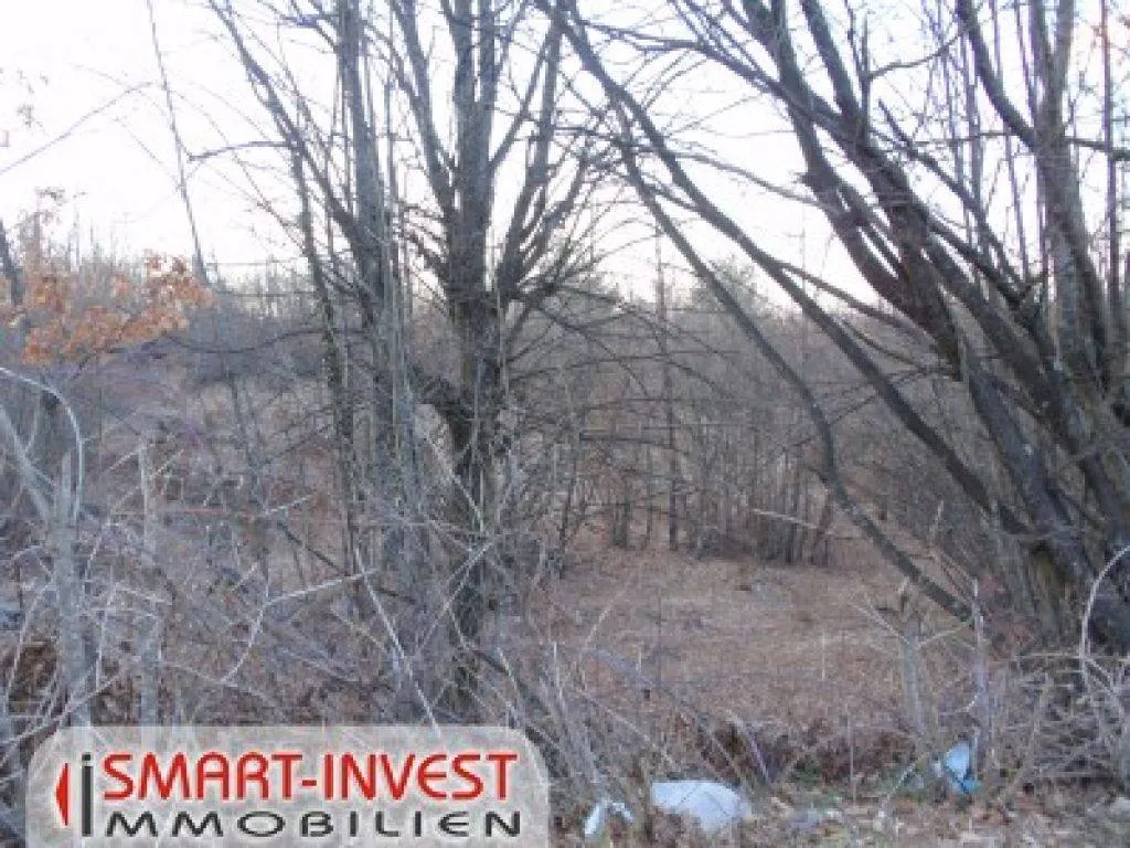 matulji, zemljište od 4200 m2 s lokacijskom dozvolom za 3 kuće - slika 2