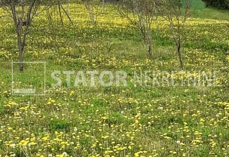 građevinsko/poljoprivredno zemljište, požega, 23000 m2 - slika 7