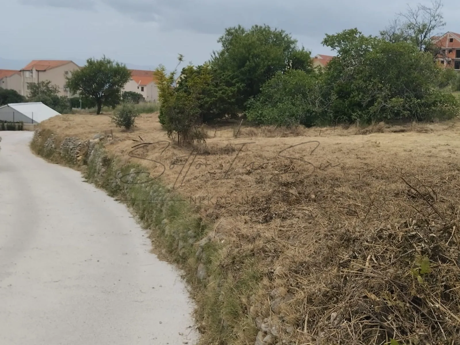 obradivo zemljište-otok brač-bol - slika 2